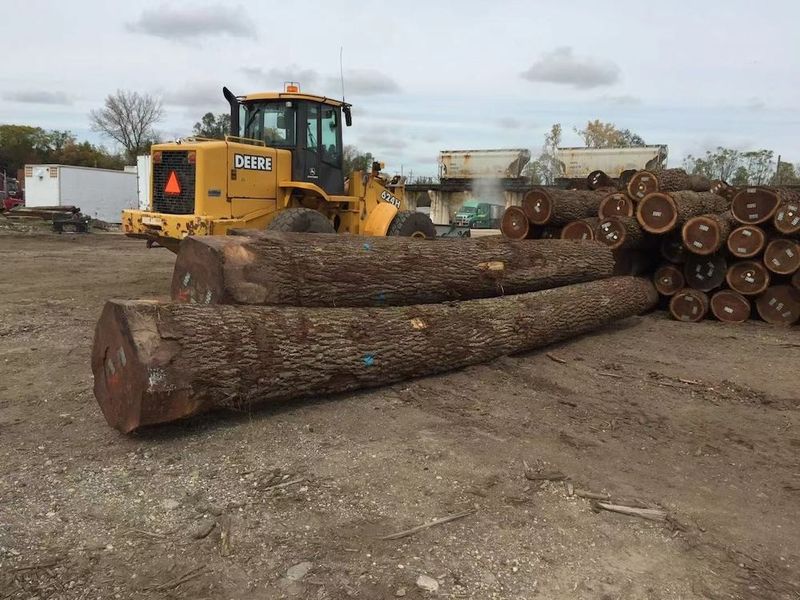 Çin Dongguan Yinghui Wood Industry Co., Ltd. şirket Profili