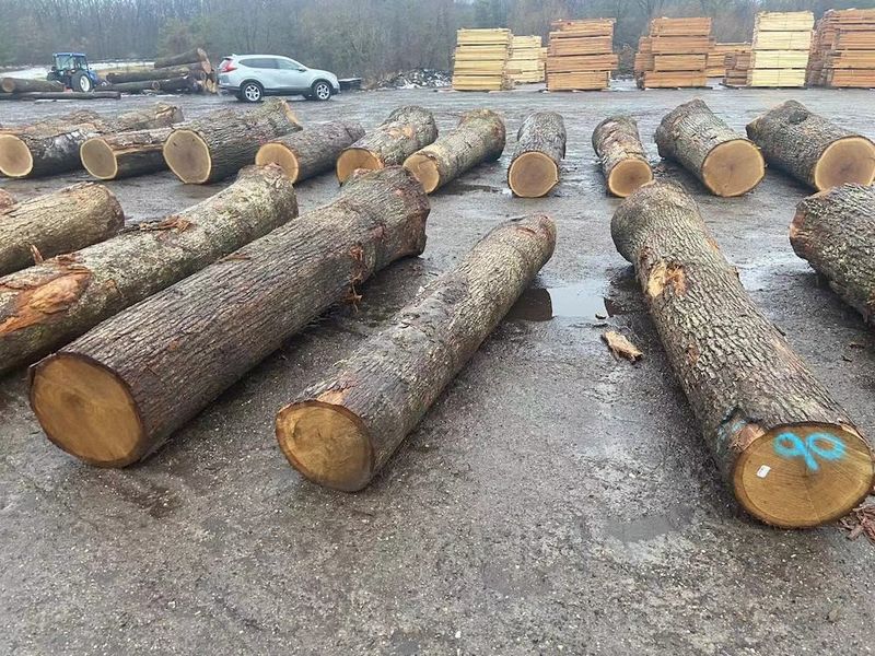 Çin Dongguan Yinghui Wood Industry Co., Ltd. şirket Profili