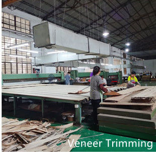 Dongguan Yinghui Wood Industry Co., Ltd. üretici üretim hattı