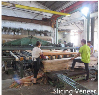 Dongguan Yinghui Wood Industry Co., Ltd. üretici üretim hattı